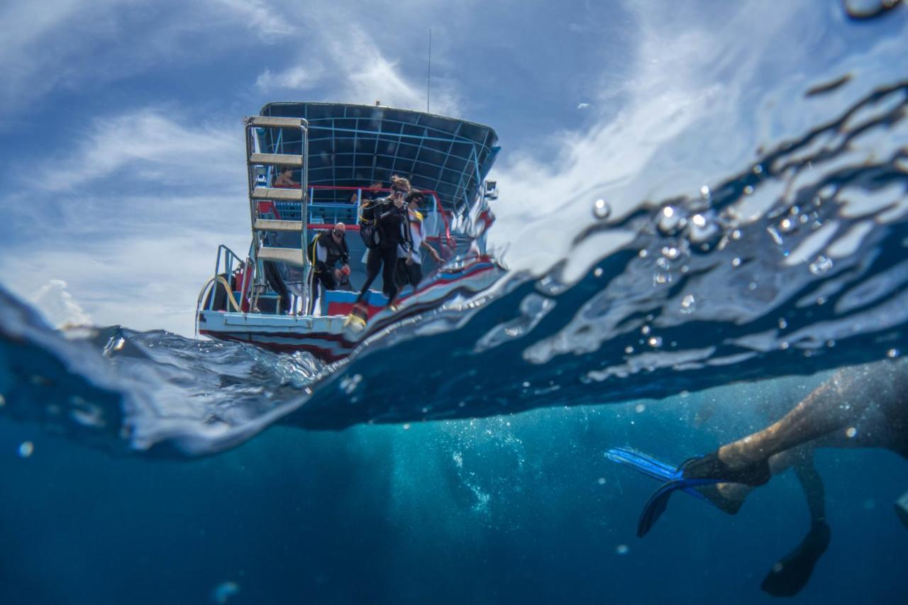 Divers House Koh Tao Eksteriør billede